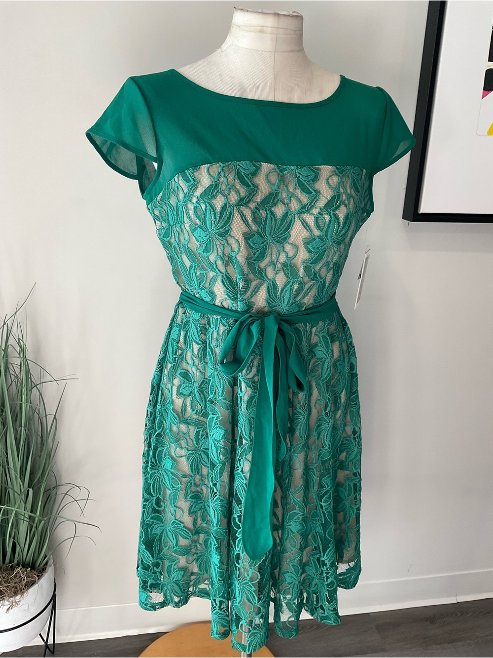 Julian Taylor Green Lace Overlay A-Line Dress with Waist Tie Size 14